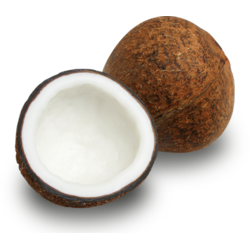 Coconut Chips (มะพร้าวอบกรอบ)