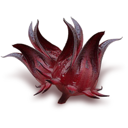 Dehydrated Hibiscus (กระเจี๊ยบอบแห้ง)