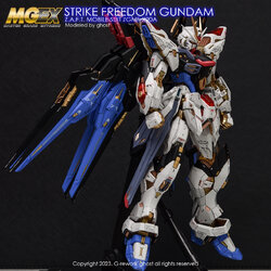 G-REWORK CUSTOM DECAL MGEX 1/100 STRIKE FREEDOM GUNDAM