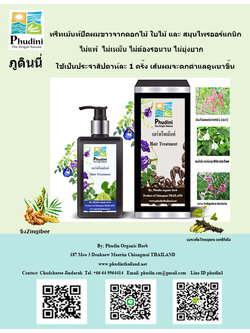 ทรีทเม้นท์ปิดผมขาว