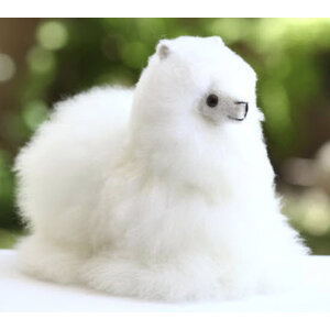 Alpaca (อัลปาก้า) *