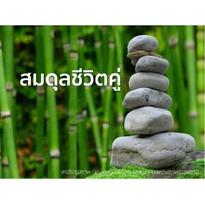 สมดุลชีวิตคู่