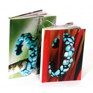 PhotoBook ขนาด 8x12 นิ้ว แนวตั้ง 20หน้า ปกแข็งพิเศษ เคลือบร้อน