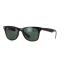 RayBan RB4195F 601/71 WAYFARER LITEFORCE