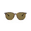 RayBan RB4306F 710/73
