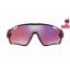 OAKLEY OO9290-20 JAWBREAKER