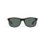 RayBan RB4202F 606971 ANDY