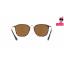 RayBan RB2448NF 902