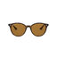 RayBan RB4305F 710/73