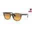RayBan RB2185F 1248AC WAYFARER II EVOLVE