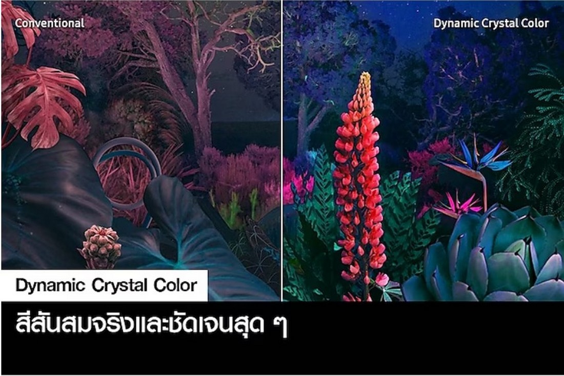 [ผ่อน0%] Samsung 55 นิ้ว UA55CU8100KXXT Crystal UHD 4K 55CU8100 CU8100 (ชลบุรีส่งฟรี)