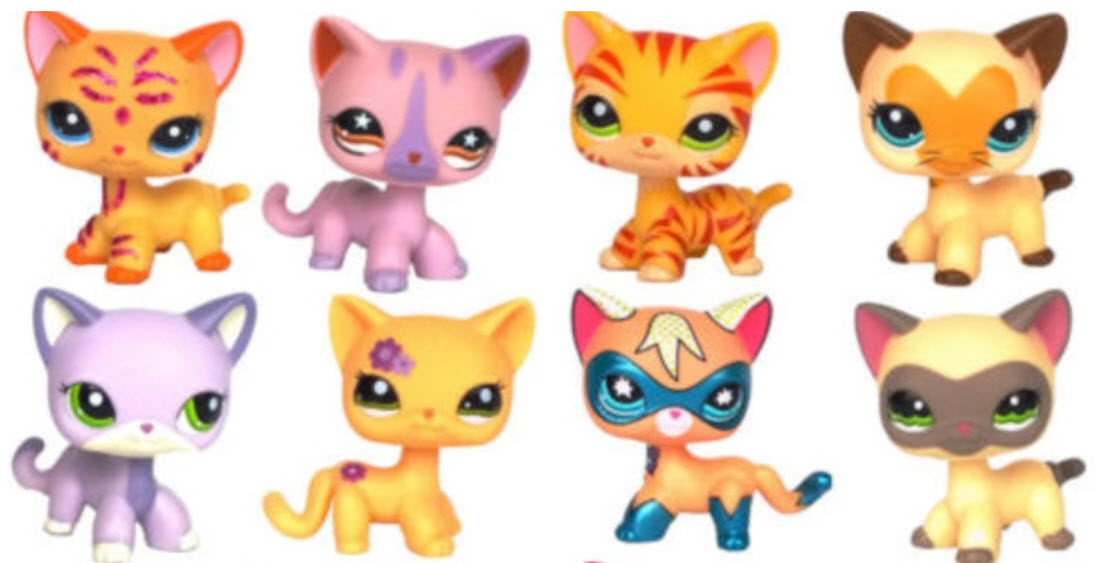 รวมชุดแมวยอดนิยม 16 ตัว