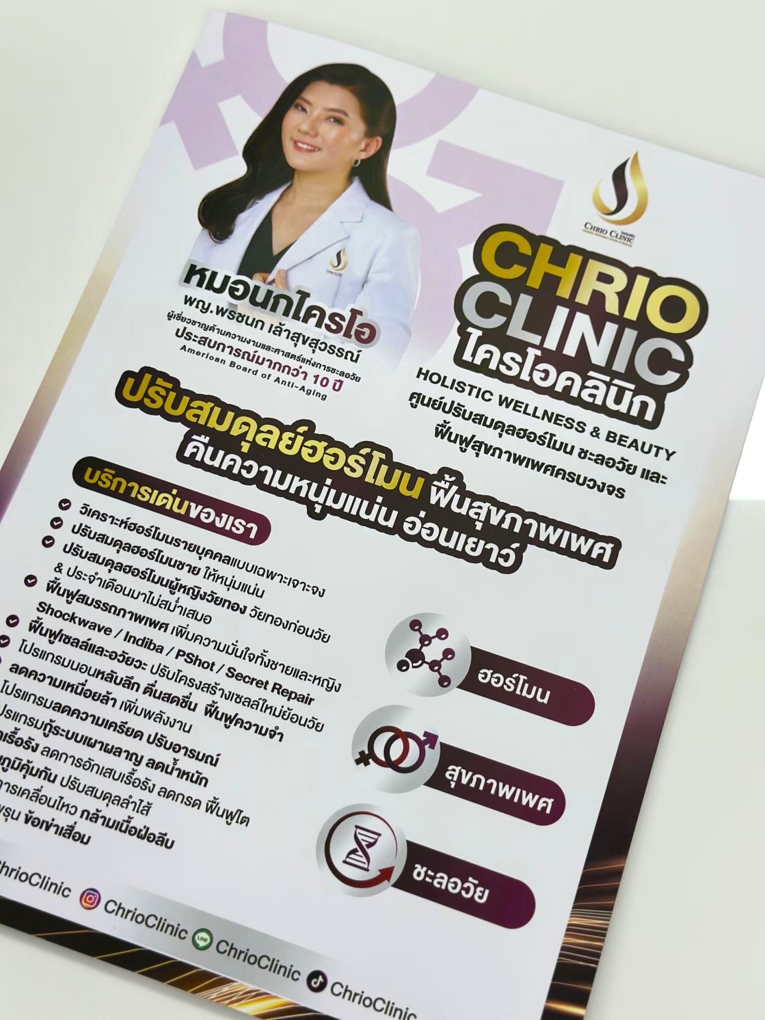 ผลงาน แฟ้มใส่เอกสาร