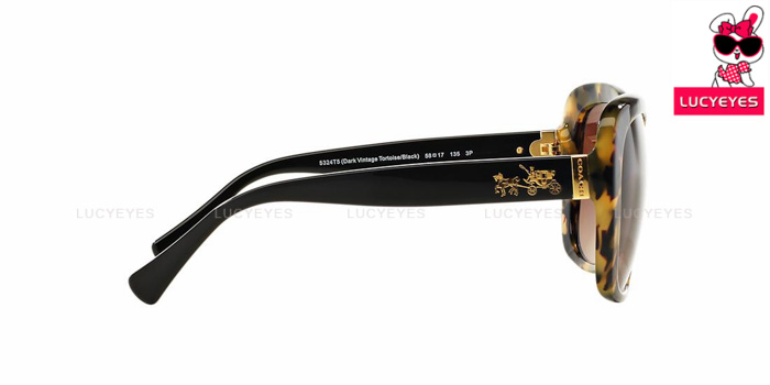 COACH HC8158F 539413