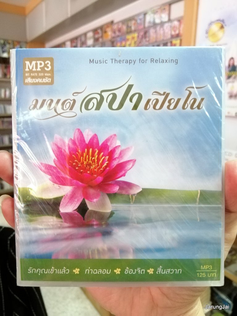cd mp3 mt เพลงบรรเลง