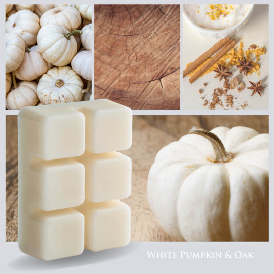 2.5oz Odor Eliminating Wax Melt WHITE PUMPKIN & OAK