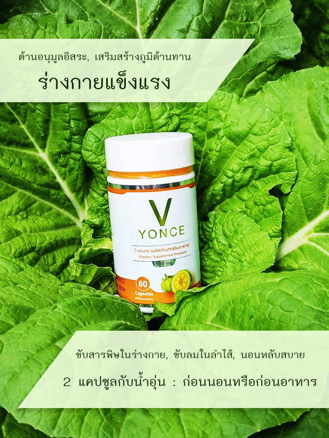 [พร้อมส่ง] Vyonce วียอนเซ่ อาหารเสริม เพิ่มภูมิคุ้มกันในร่างกาย สกัดจาก สมุนไพรธรรมชาติ มี อย. 60 แคปซูล ลดความดัน เบาหวาน ไขมัน บำรุงเลือด ผนังหลอดเลือด by อยู่สุข Yusuk