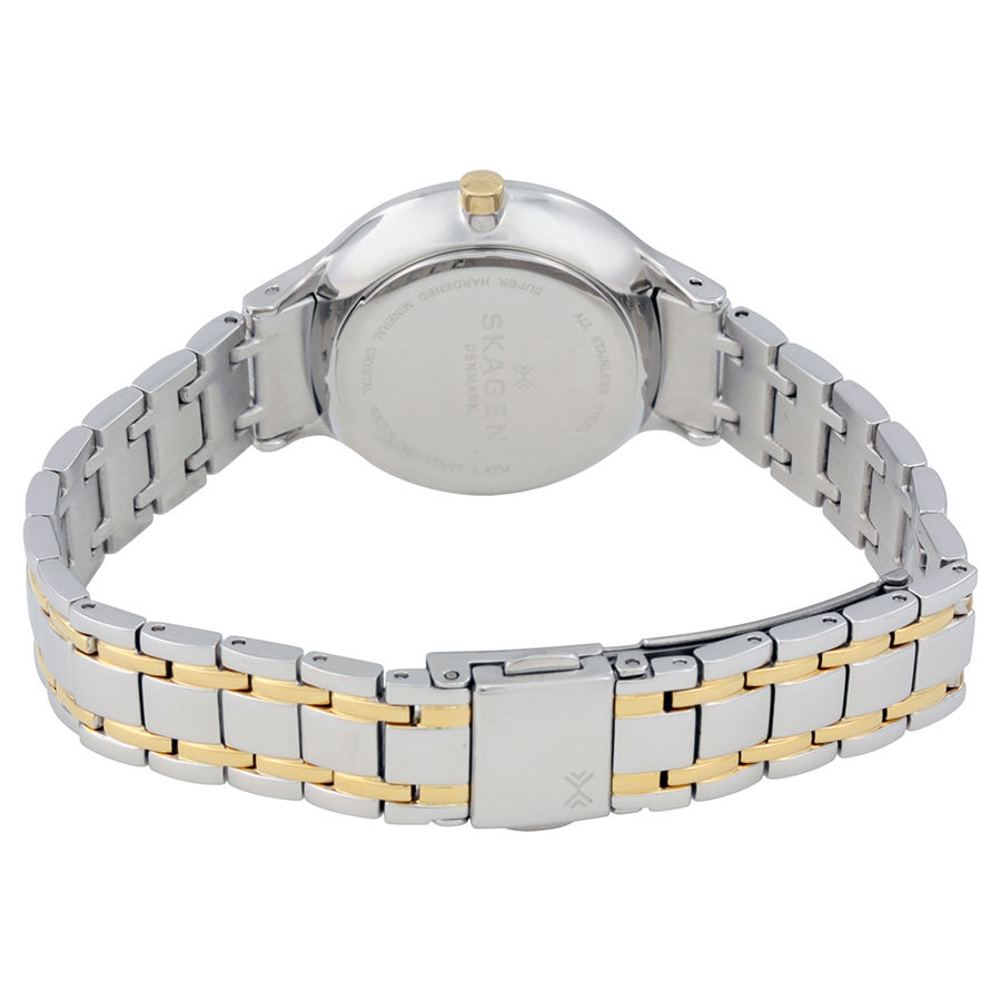 Skagen SKW2321 นาฬิกาผู้หญิง Skagen รุ่น SKW2321, Anita Quartz Two Tone Crystals Women's Watch