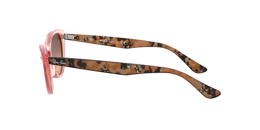 RayBan RB4314N 1282A5 NINA