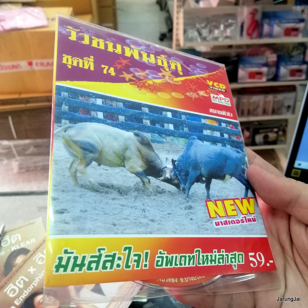 vcd วัวชนพันธุ์ดุ ชุด 74 สนามหัวไร ลังสาดบุญส่ง โหนดมีชัย แดงโดดเดียว ลายจอมยุทธ vcd mpd