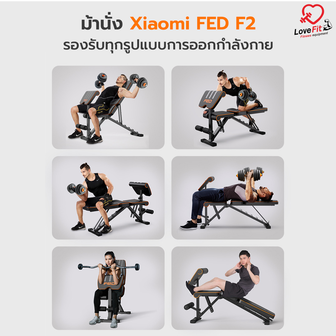 ม้านั่ง , ม้านั่งออกกำลังกาย , bench press , ม้านั่งยกดัมเบล , เก้าอี้ออกกำลังกาย , เก้าอี้ยกดัมเบล , ดัมเบล , เครื่องออกกำลังกาย