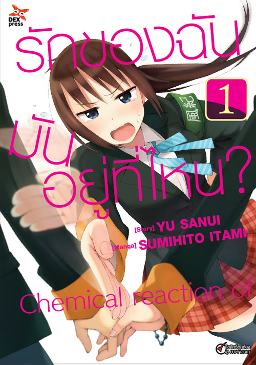 [DEXPRESS] รักของฉันมันอยู่ที่ไหน? เล่ม 1 ฉบับการ์ตูน