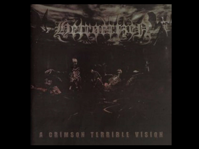 HETROERTZEN'A Crimson Terrible Vision' CD