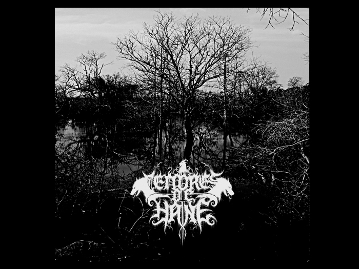 CENDRES DE HAINE'Nihil Mirari' CD