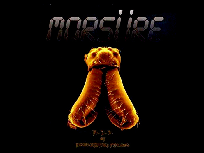 MORSURE'Acceleration Process Et.' CD