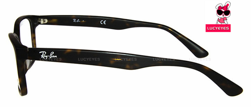 RayBan RX5290D 2012