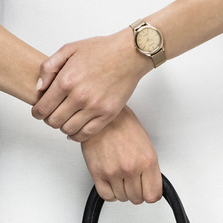 Citizen EM0503-83X นาฬิกาผู้หญิง Eco-Drive Elegant Mesh Bracelet Women's Watch