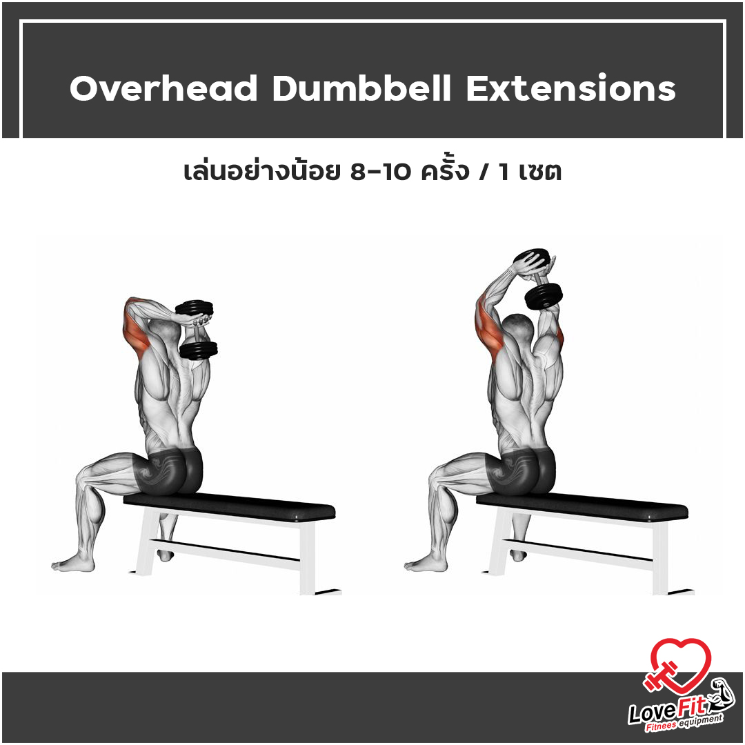 ดัมเบล , Dumbell , เล่นกล้าม , ออกกำลังกาย , เล่นกล้ามแขน , ท่ายกดัมเบล