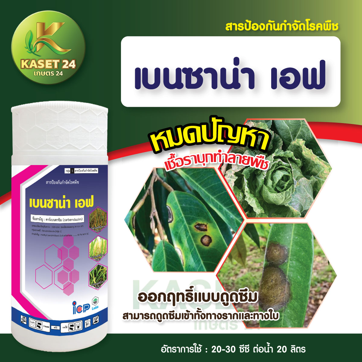 ยากำจัดเชื้อรา เบนซาน่า (คาร์เบนดาซิม 50%) ป้องกันกำจัดโรคพืช ใบไหม้ กาบใบแห้ง ใบจุด (ขนาด 1 ลิตร) ส่งฟรีเก็บเงินปลายทาง (ไม่บวกเพิ่ม)