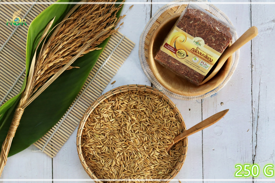 ข้าวมะลิแดง 250 กรัม ข้าวหอมมะลิแดง 250 กรัม ข้าวกล้องมะลิแดง 250 กรัม ข้าวกล้องหอมมะลิแดง 250 กรัม ข้าวกล้องมะลิแดงเพื่อสุขภาพ ข้าวกล้องหอมมะลิแดงเพื่อสุขภาพOrganic Red Jasmine Rice (mini Size 250 g) 250 กรัม
