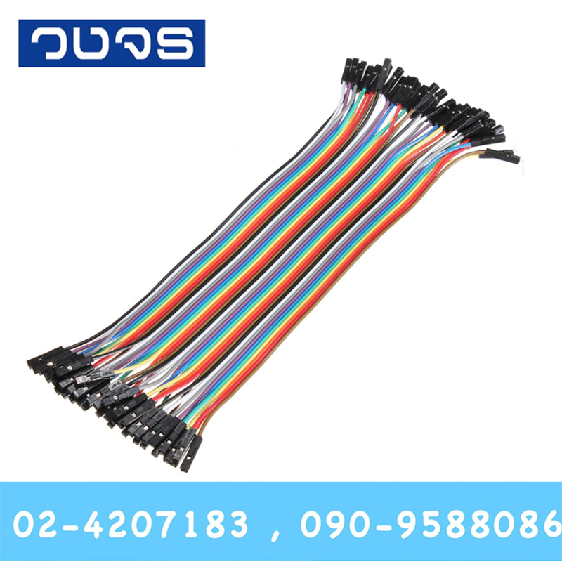สายจั๊ม 40Pin ยาว20cm เมีย-เมีย