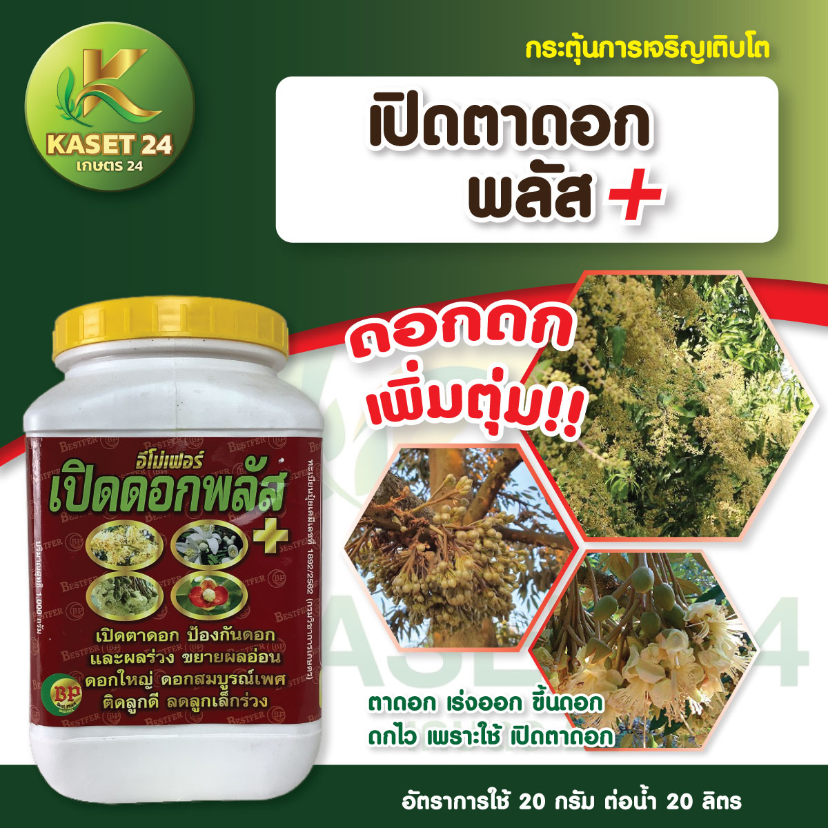 เปิดดอกพลัส ฮอร์โมนเปิดดอก เร่งการออกดอก เร่งตาดอก ออกดอกไว บำรุงดอก ป้องกันดอกร่วง ดอกออกสม่ำเสมอ (ขนาด 1 กิโลกรัม) ส่งฟรีเก็บเงินปลายทาง (ไม่บวกเพิ่ม)
