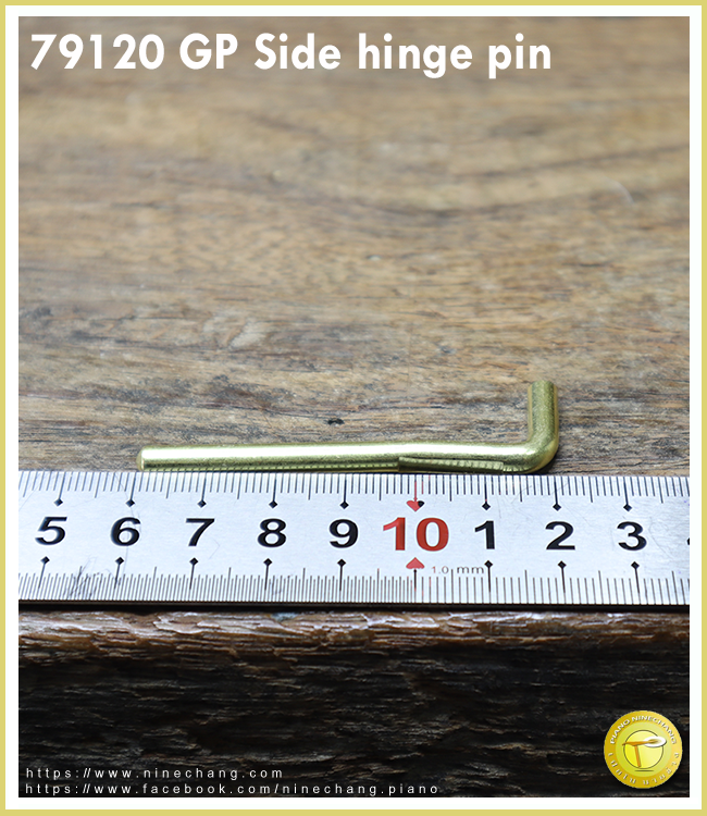 79120 GP Side hinge pin