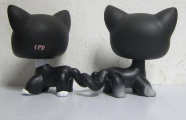 แมวสยาม (Siamese Cat) สีดำ แพ็คคู่ ตัวพิเศษ (#994, #2249)
