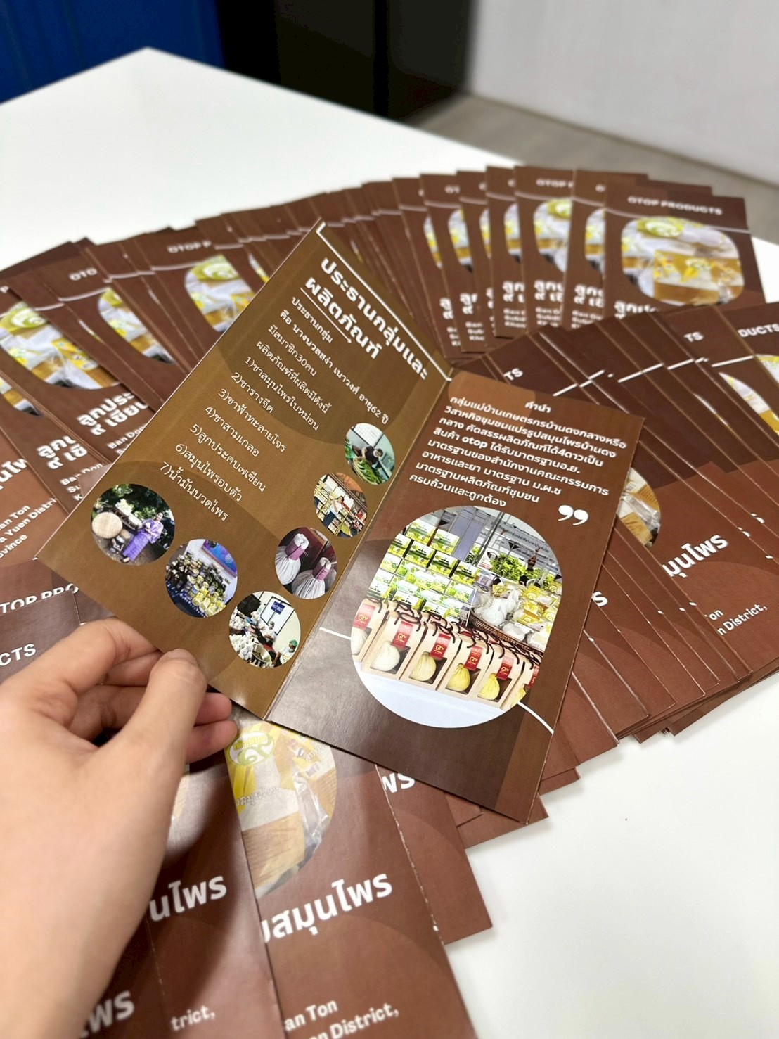 ผลงานพิมพ์แผ่นพับ