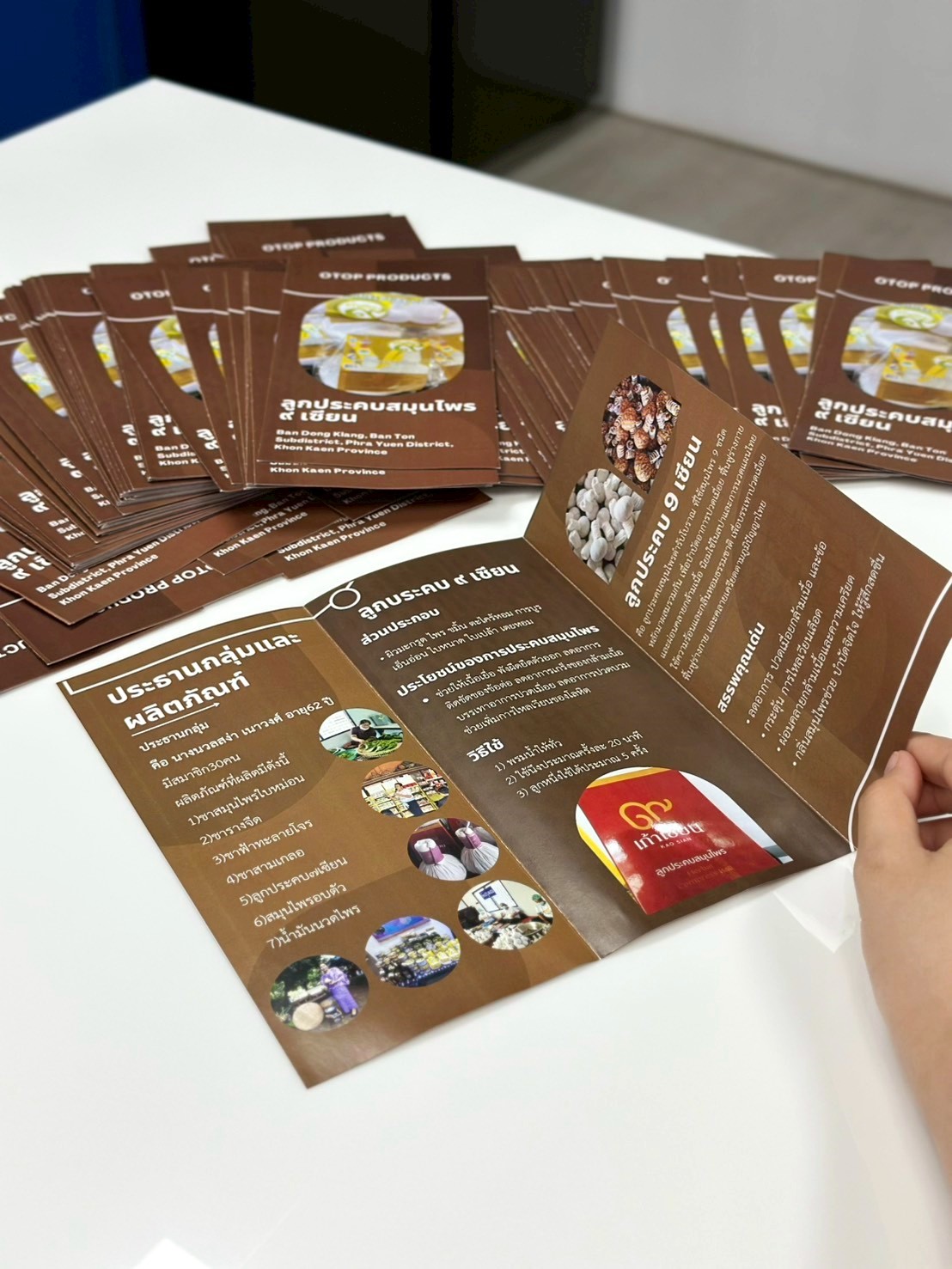 ผลงานพิมพ์แผ่นพับ