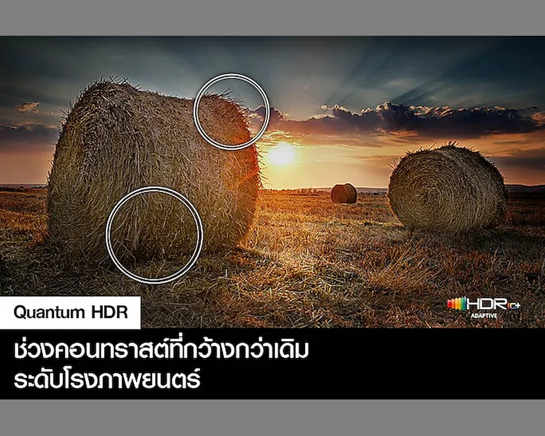 Samsung TV 55Q65C UHD QLED (55", 4K, Smart) QA55Q65CAKXXT