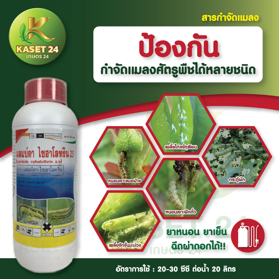 ยากำจัดหนอน แลมบ์ดา-ไซฮาโลทริน 2.5 สูตรเย็น กำจัดหนอน หนอนเจาะดอก หนอนเจาะลูก แมลงหวี่ขาว กำจัดหนอนทุกชนิด (ขนาด 1 ลิตร) ส่งฟรีเก็บเงินปลายทาง (ไม่บวกเพิ่ม)