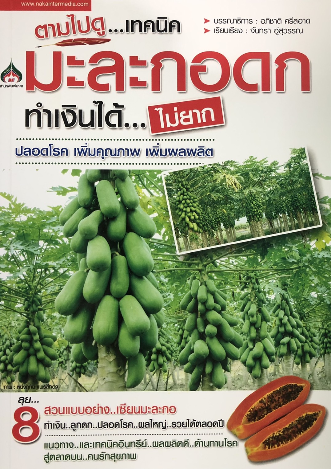 ตามไปดู เทคนิคมะละกอดก ทำเงินได้ ไม่ยาก ปลอดโรค เพิ่มคุณภาพ เพิ่มผลผลิต