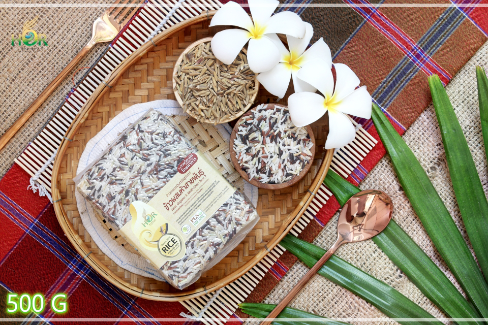 ข้าวปลอดสารผสมห้าสายพันธุ์ 500 g ข้าวเพื่อสุขภาพผสมห้าสายพันธุ์ 500g ข้าวปลอดสารเคมีผสมห้าสายพันธุ์ 500g ข้าวสุขภาพผสมห้าสายพันธุ์ 500g ข้าว 5 สายพันธุ์ Surin Organic 5 Multi-Grain Rice (Small Size 500 g) 500 กรัม