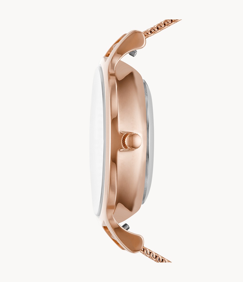 Skagen SKW2960 นาฬิกาผู้หญิง Anita Automatic Rose-Tone Steel Mesh Women's Watch