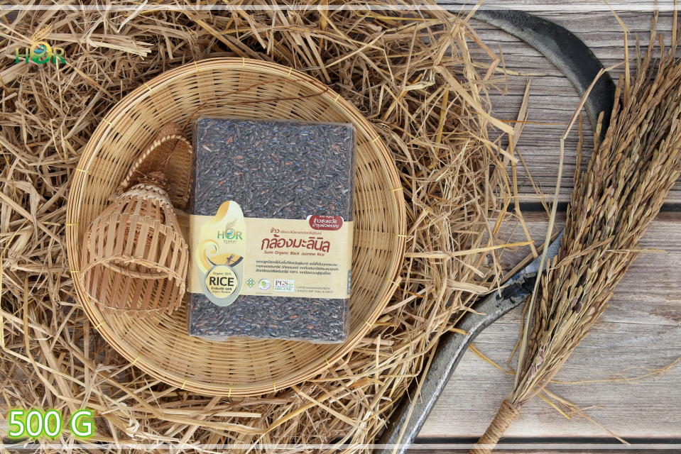 ข้าวมะลินิล 500 g ข้าวมะลินิลสุรินทร์ 500 g ข้าวหอมมะลินิล 500 g ข้าวหอมมะลินิลสุรินทร์ 500 g ข้าวมะลินิลปลอดสารเคมี 500 g ข้าวมะลินิลเพื่อสุขภาพ 500 g Surin Organic Black Jasmine Rice (Small Size 500 g) 500 กรัม