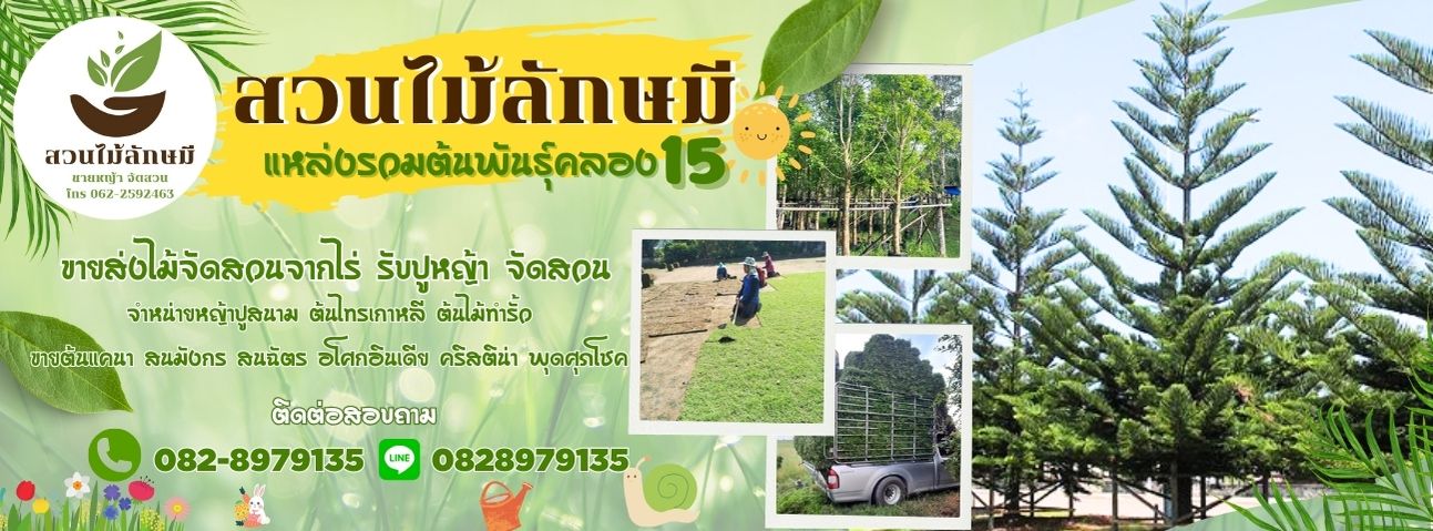 รับออกแบบจัดสวนปรับภูมิทัศน์