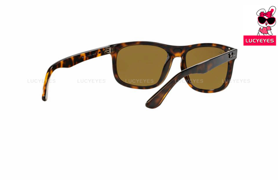 RayBan RB4226F 710/73 4