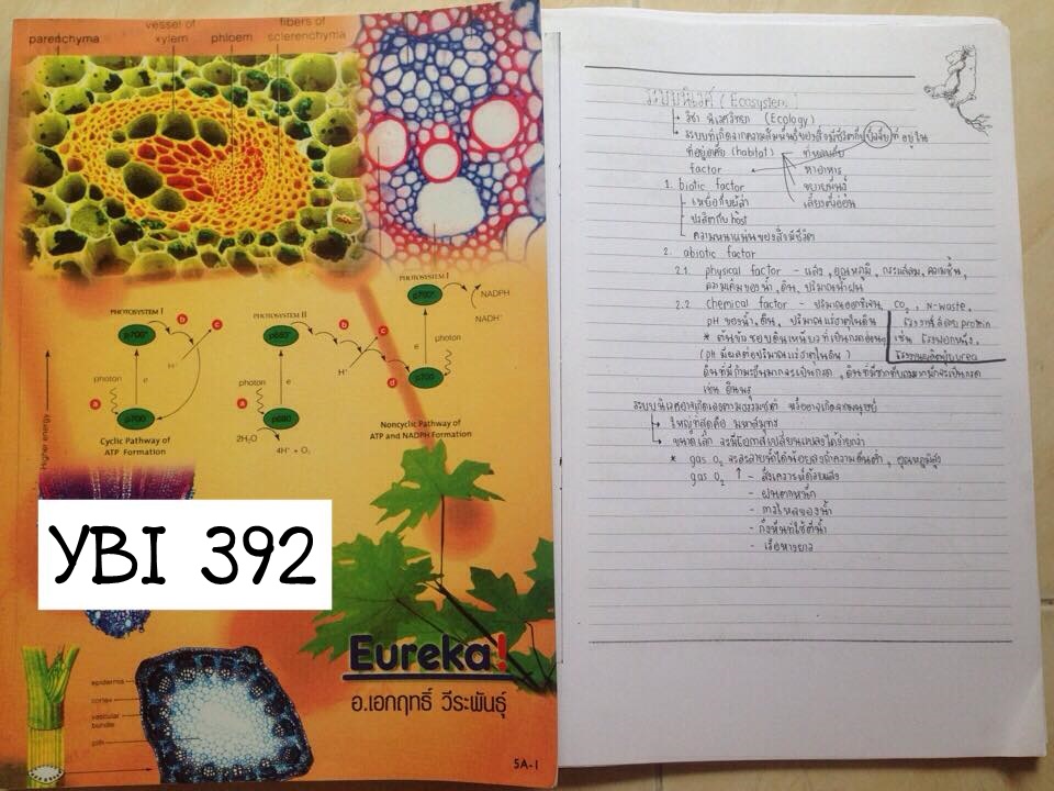 YBI392 [Eureka] ชีววิทยา ม.5 หลังสูตรA เรื่องพืช ภาพสีกระดาษมันภาพขาวดำกระดาษปกติ มีแบบฝึกหัดของแต่ละเรื่อง พร้อม โน๊ตแบบถ่ายเอกสารละอียดลายมือสวยไม่ชัดบางหน้า ขาย 500฿