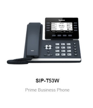 SIP-T53W